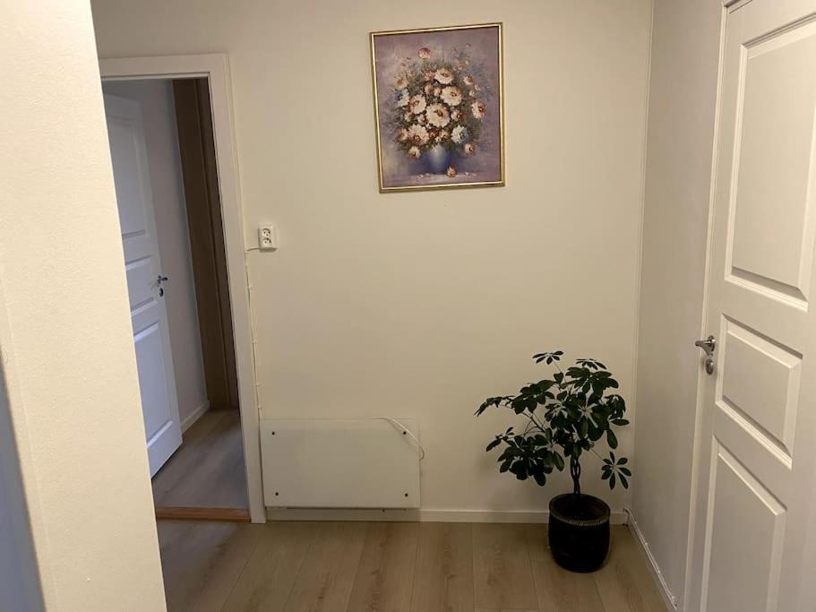 Lovely 2 Bedroom Apartmen With Free Parking Bergen Exterior foto